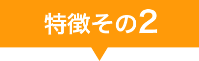 特徴その2